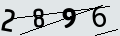 verifycode